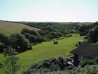 Timber Hill in the Pembrokeshire Countryside