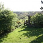 Lodge_9 timber hill from number 8