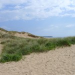 Area_P1010206_640_by_427