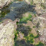 Area_P1010220_640_by_427