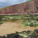 Area_P1010226_640_by_427