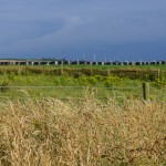 Area_P1030462_640_by_427