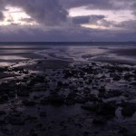 Area_P1030702_640_by_427