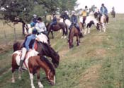 pony riding near 9 Timber Hill in Pembrokeshire